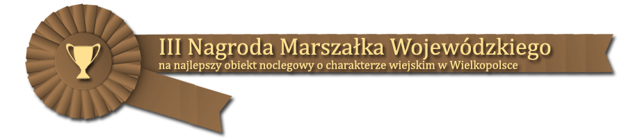 III Nagroda Marszałka Wojewódzkiego